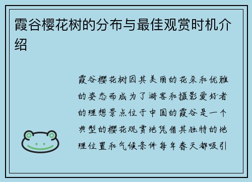 霞谷樱花树的分布与最佳观赏时机介绍
